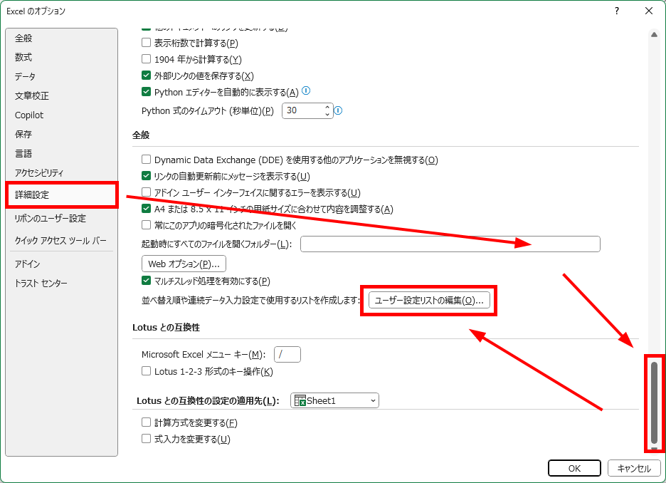 Excelのオプション、詳細設定画面で、ユーザー設定リストを示した図