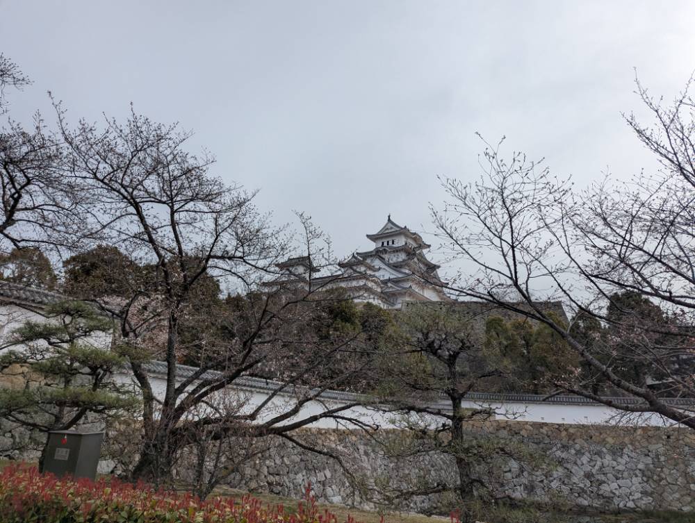 姫路城とまだ咲いていない桜
