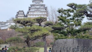 姫路城　額 Amazon.co.jp: カワダ(Kawada) ナノブロック 姫路城 スペシャル