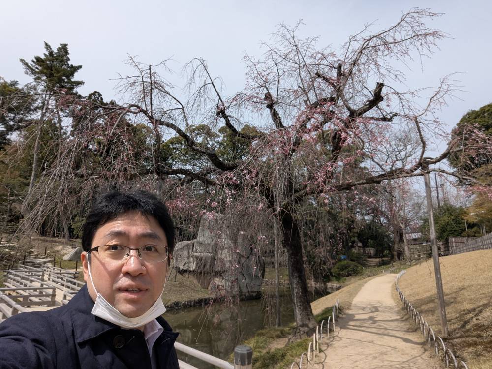 後楽園の枝垂れ桜の前で自撮り